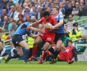 20d201130286775.jpg