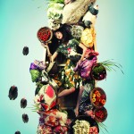 imagebam.com