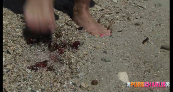 [Image: 867519153664858.jpg]