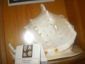 http://thumbnails39.imagebam.com/20317/cbb362203166786.jpg